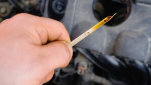 How Often Should You Change Your Car Oil?